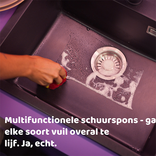 Vileda Schuurspons Punch Apple SVI01403 - 4