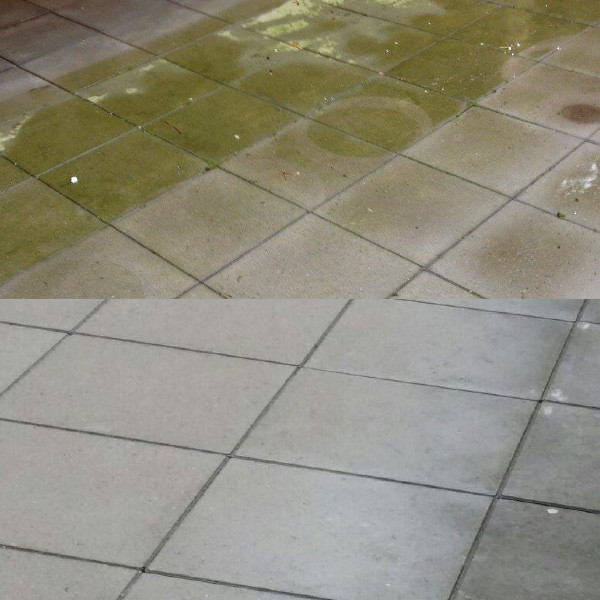 WS products WS Green Clean | groene aanslagreiniger (1 liter) | Geschikt voor: 100 m²  SWS00001 - 3