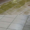 WS products WS Green Clean | groene aanslagreiniger (1 liter) | Geschikt voor: 100 m²  SWS00001 - 3