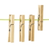 Wasknijpers Hout | 24 stuks (123schoon huismerk) SDR00166 - 1
