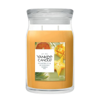 Yankee Candle Signature Large Jar Starfruit & Sunshine (567 g) SYA00263