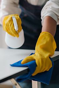Professionele Schoonmaakmiddelen