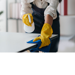 Professionele schoonmaakmiddelen