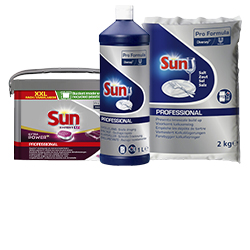 Sun Professional