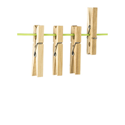 Wasknijpers