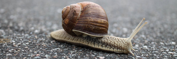 Slakkensporen verwijderen