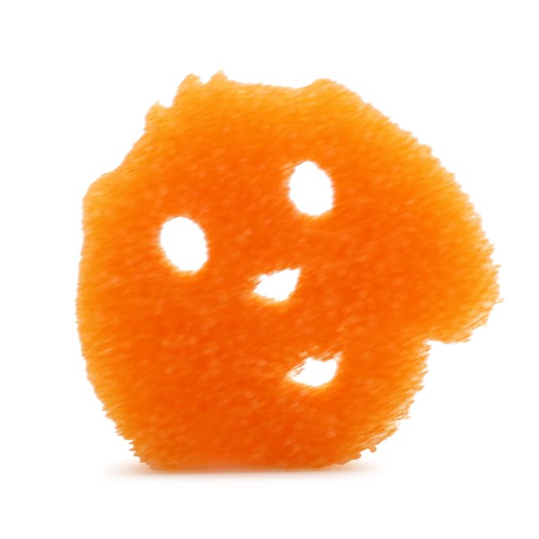 Scrub Daddy Scrub Daddy Dog Edition Oranje Scrub Daddy 123schoon.nl