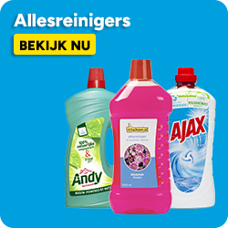Allesreinigers