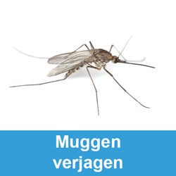 Muggen verjagen