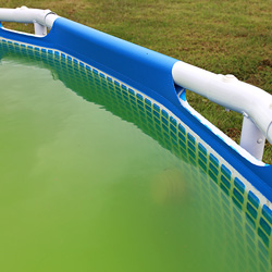 Hoe voorkomt u groen zwembadwater of glibberige wanden?