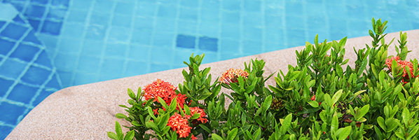 Is zwembadwater schadelijk voor planten?